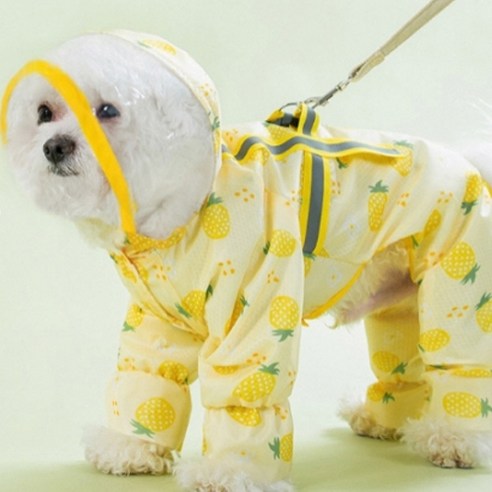 로커스 강아지 우비 - 반려동물을 위한 사계절용 아우터