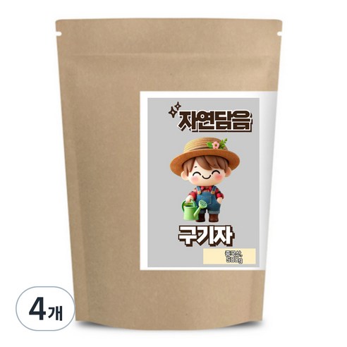 자연담음 구기자, 500g, 4개