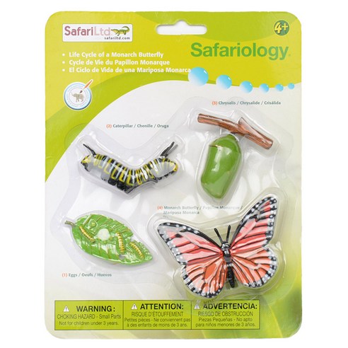 사파리엘티디 피규어 622616 왕나비의성장과정 Life Cycle of a Monarch Butterfly, 1개