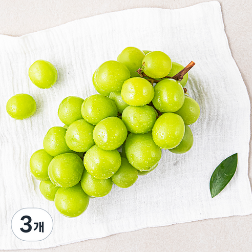 한반도 비파괴 당도선별 샤인머스캣, 500g, 3개