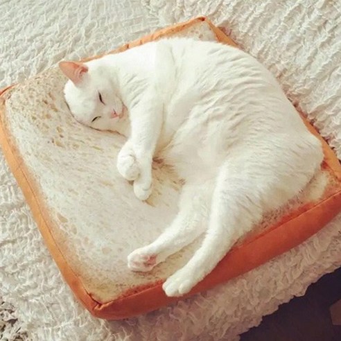 블럭마트 고양이 애견 토스트 식빵방석 60 x 60 x 6.5 cm, 혼합 색상