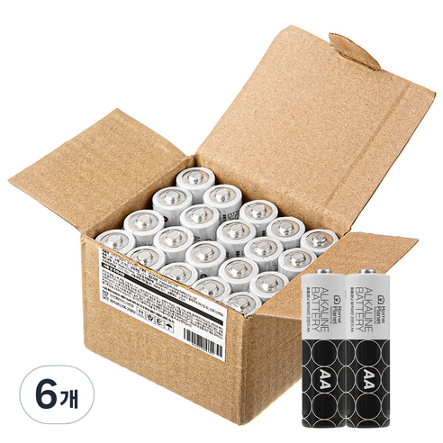 홈플래닛 알카라인 AA건전지, 20개입, 6개