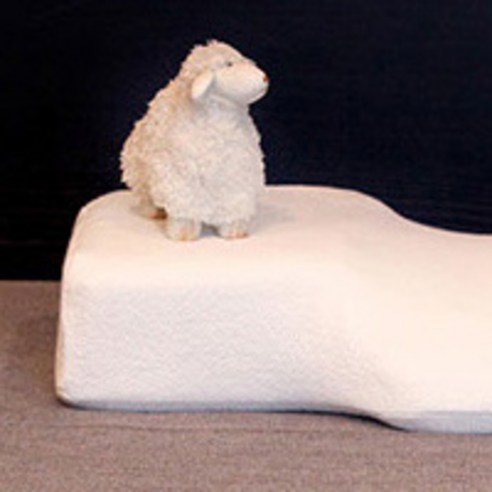 숙면을 위한 과학적 설계, 목 건강을 위한 프리미엄 선택