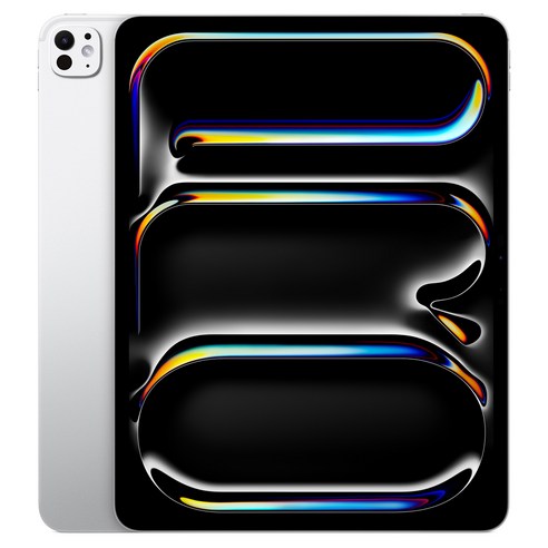 Apple 2025 아이패드 프로 13(M5 모델) Nano-texture 글래스, 실버, 2TB, Wi-Fi+Cellular
