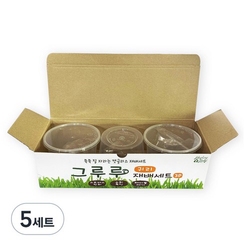 힐링타임 그루루 캣그라스 재배세트 3p, 귀리, 5세트