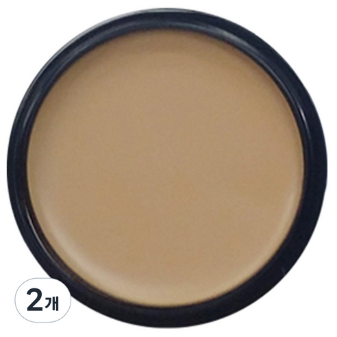 애리조 카마플레이지 크림 13g, No5 라이트베이지, 2개
