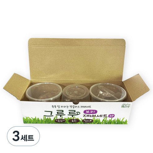 힐링타임 그루루 캣그라스 재배세트 3p, 보리, 3세트