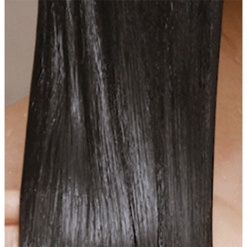 찰랑이는 기적, 손상된 머릿결에 향기로운 생명을 불어넣다