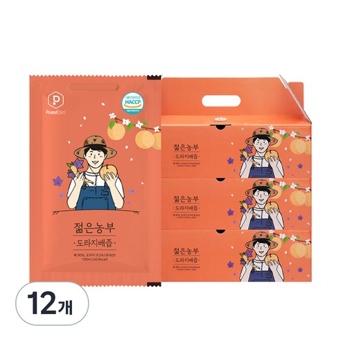 푸릇담 젊은농부 도라지배즙, 3L, 12개