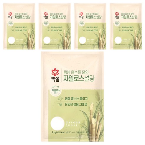 백설 자일로스 설탕, 2kg, 5개