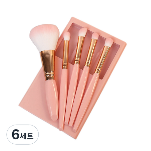 디에스 휴대용 멀티 브러쉬 5종 세트, 핑크, 6세트