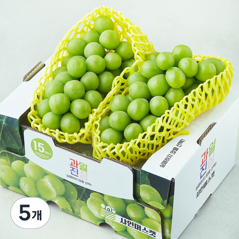과일진심 샤인머스캣 청포도, 5개, 1.2kg