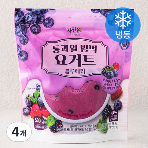 자연원 통과일 범벅 요거트 블루베리 (냉동), 500g, 4개