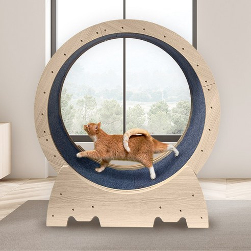 펫샵 저소음 안전 잠금장치 간단설치 우다다 캣휠 L, 혼합색상, L, 1개