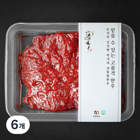 전통참한우 1등급 다짐육 (냉장), 250g, 6개
