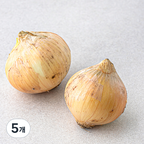 친환경 한끼 양파, 400g, 5개