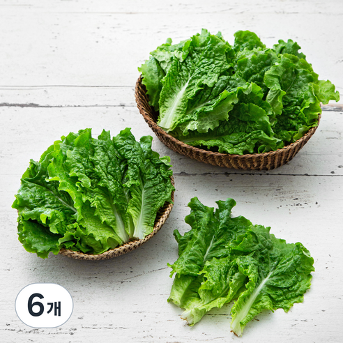 곰곰 국내산 청상추, 200g, 6개