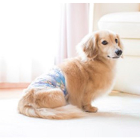 소형 남아용 강아지のための 편안하고 위생적인 매너웨어 엘지유니참 강아지 기저귀
