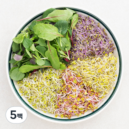 국내재배 어린잎과 새싹채소, 500g, 5팩