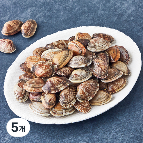 숨비해물 국내산 국물맛 깊은 바지락 (냉장), 5개, 800g