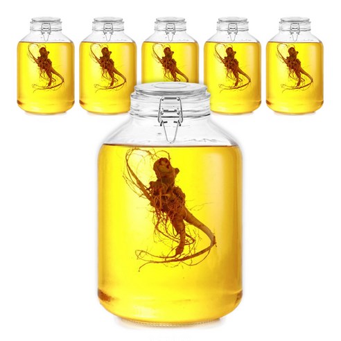 헬로키친 다용도 밀폐 유리병, 5L, 6개
