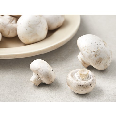 못생김 속에 숨겨진 놀라운 맛, 양송이버섯의 재발견