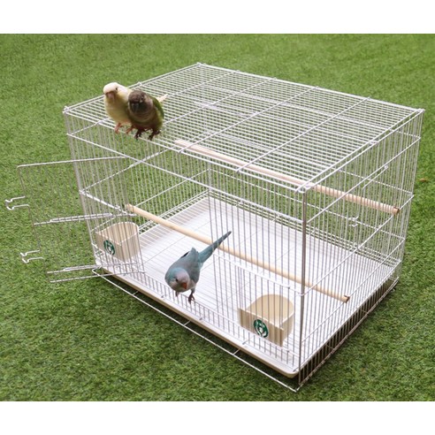 사랑스러운 앵무새를 위한 안전하고 아름다운 보금자리