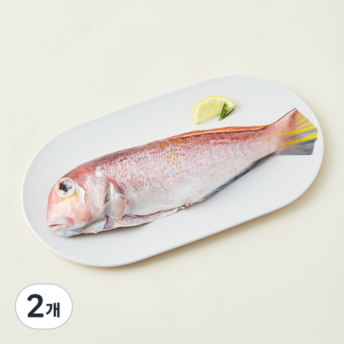 제주어가 생물 손질 옥돔 (냉장), 300g(대), 2개