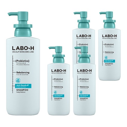 라보에이치 댄드 러프 클리닉 비듬 두피 각질 케어 약산성 샴푸, 400ml, 5개