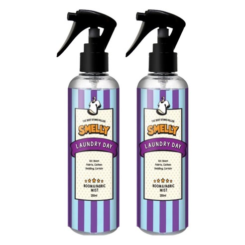 스멜리 룸앤패브릭 런드리데이 250ml, 2개