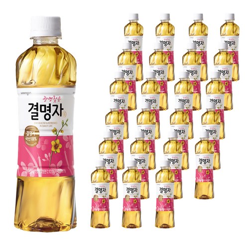 웅진 광명찾은 결명자차, 500ml, 24개