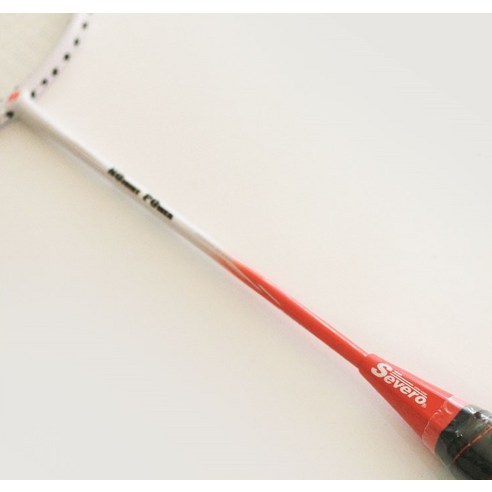 가족과 함께하는 즐거운 배드민턴