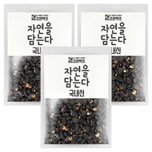 조은약초 오가피 열매, 300g, 3개