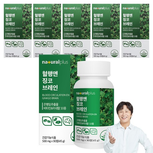 내츄럴플러스 혈행앤 징코 브레인 45g, 90정, 6개