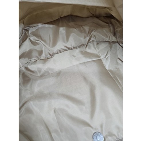 애완견과의 완벽한 동행