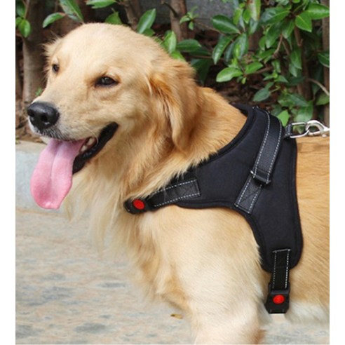 든든한 동반자를 위한 완벽한 선택, 퍼플펫 중대형견 하네스