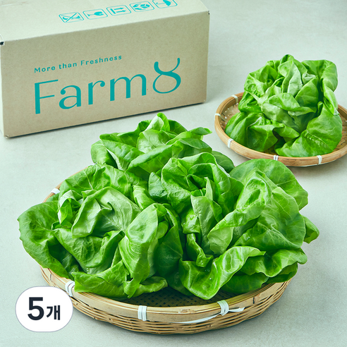 팜에이트 무농약 인증 only 버터헤드레터스 샐러드, 400g, 5개