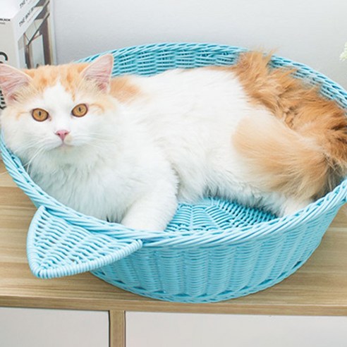 하늘정원 라탄 캣츠 하우스, 블루