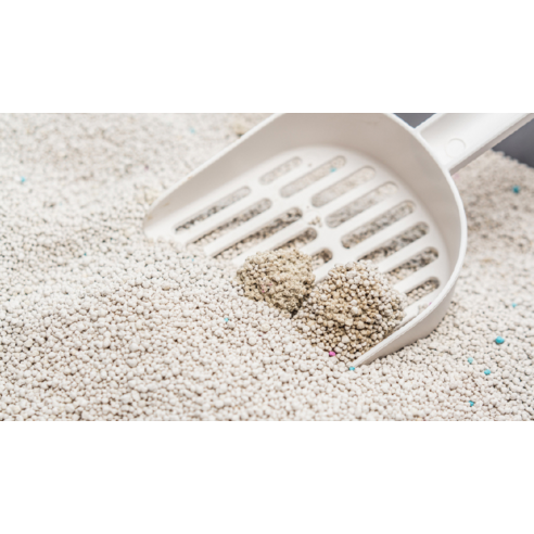 백사장 고양이 모래는 안전하고 청소가 편리한 천연소재 모래
