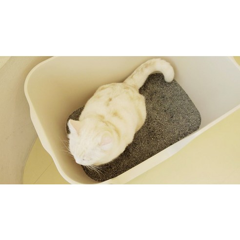 고양이의 편안함을 위한 최적의 선택