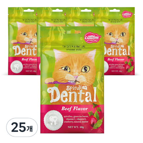 캣템 스피루리나 고양이 덴탈 간식, 비프, 60g, 25개