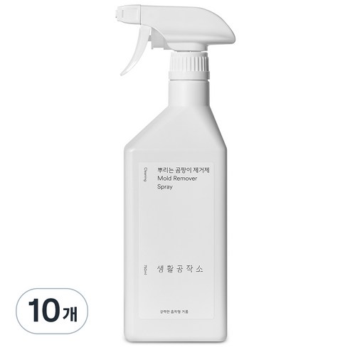 생활공작소 뿌리는 곰팡이 제거제, 750ml, 1개