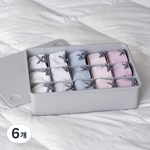 이즈리빙 칸칸칸 속옷 정리함 15칸, 그레이(그레이뚜껑), 6개