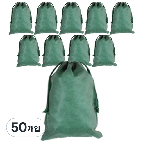 봄91 끈조리개 부직포백 20 x 28 cm, 그린, 50개입