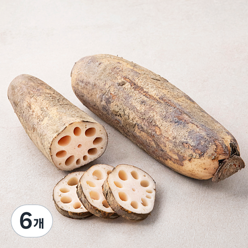밀양 연근, 500g, 6개