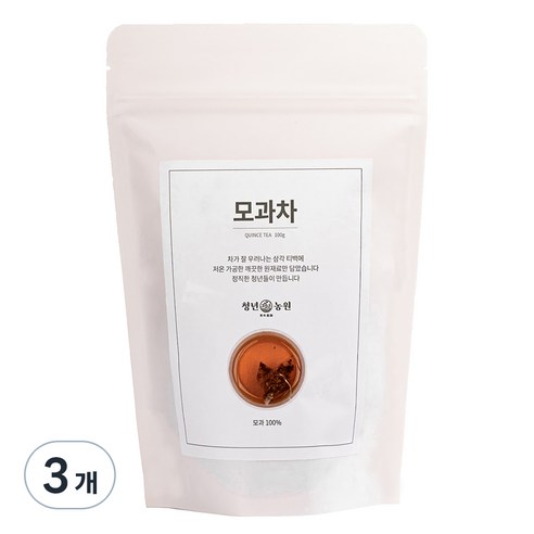 청년농원 저온가공 모과차 삼각티백, 2g, 50개입, 3개