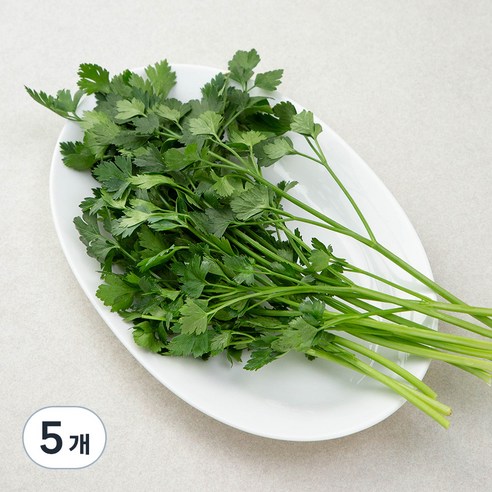 국내산 이탈리안 파슬리, 30g, 5개