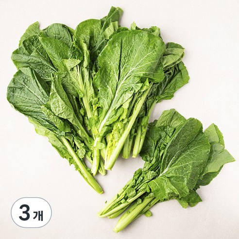 청갓, 1kg, 3개