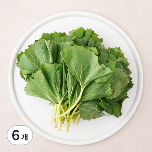 곰곰 국내산 머위잎, 250g, 6개