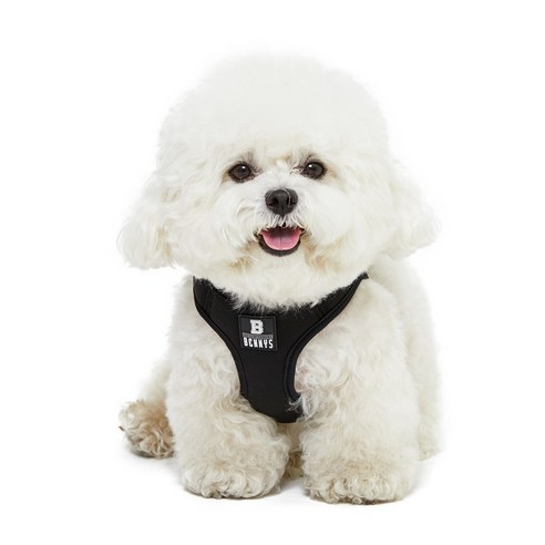 베니즈 강아지 베이직 하네스, 블랙